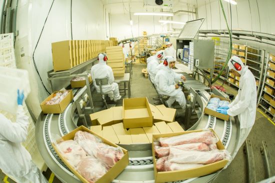 COMÉRCIO EXTERIOR - Brasil conquista mercado de carne de frango na Bósnia e Herzegovina